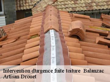 Intervention d'urgence fuite toiture   17600