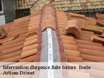 Intervention d'urgence fuite toiture   17770