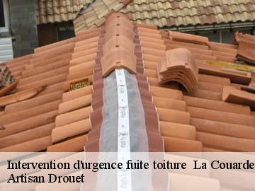 Intervention d'urgence fuite toiture   17670