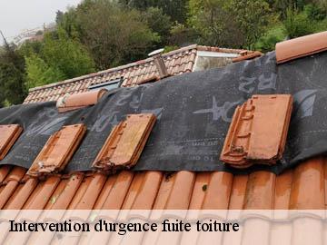 Intervention d'urgence fuite toiture   17550