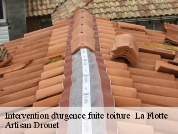 Intervention d'urgence fuite toiture   17630