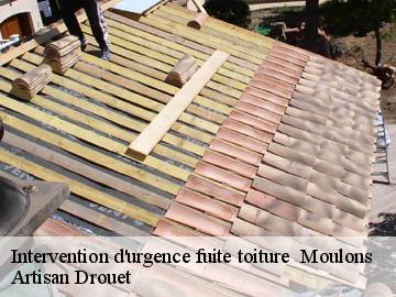 Intervention d'urgence fuite toiture   moulons-17130 Artisan Drouet