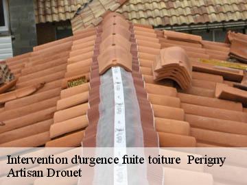 Intervention d'urgence fuite toiture   17180