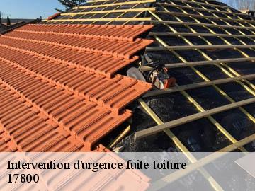 Intervention d'urgence fuite toiture