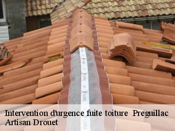 Intervention d'urgence fuite toiture   17460