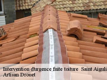 Intervention d'urgence fuite toiture   17360