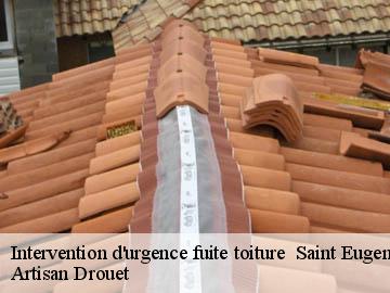 Intervention d'urgence fuite toiture 17520