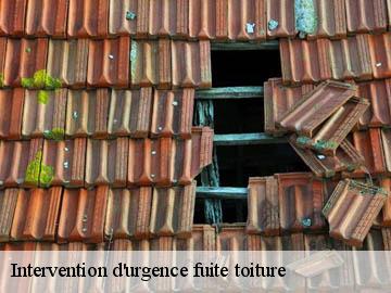 Intervention d'urgence fuite toiture 