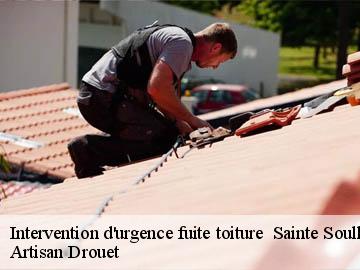 Intervention d'urgence fuite toiture 