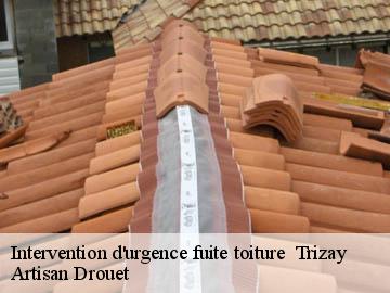 Intervention d'urgence fuite toiture   17250